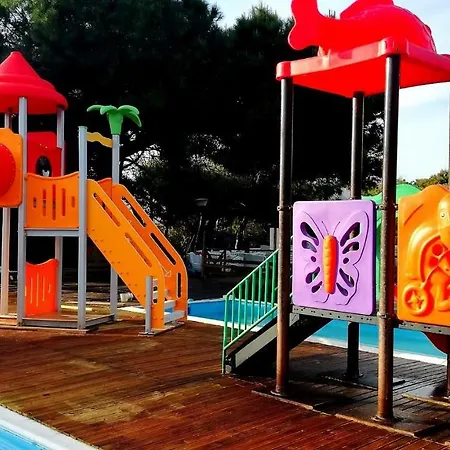 贝拉撒丁露营地 营地 萨尔奇图库列里