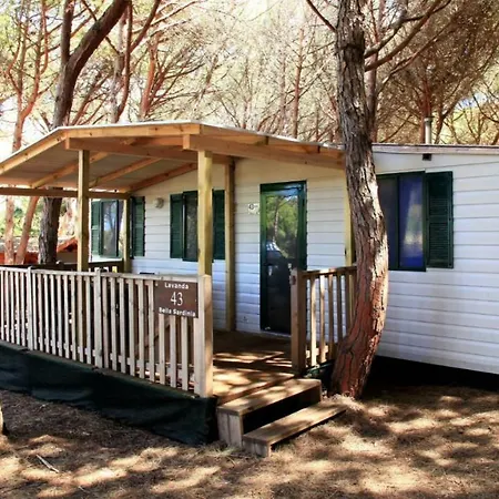 贝拉撒丁露营地